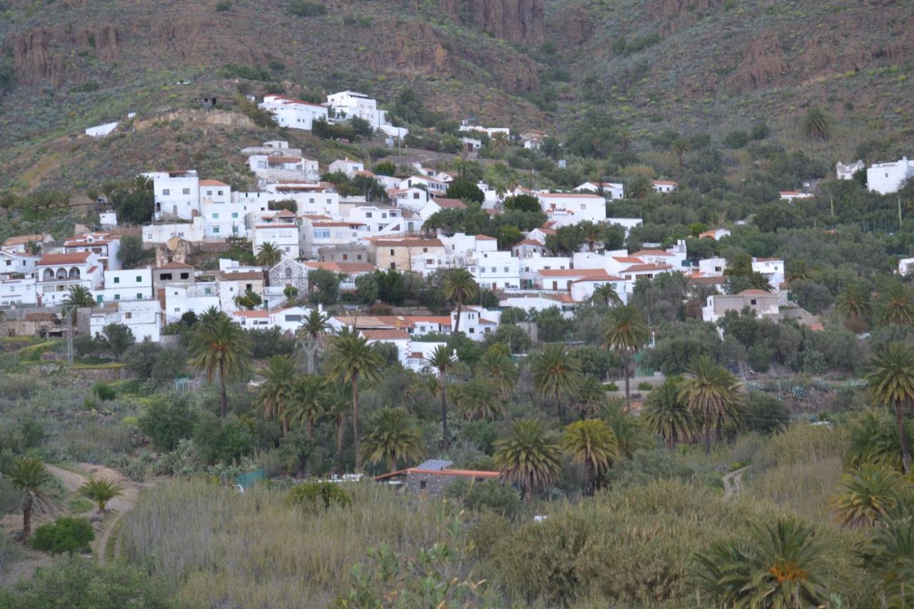 Las Palmeras Temisas Esterno foto